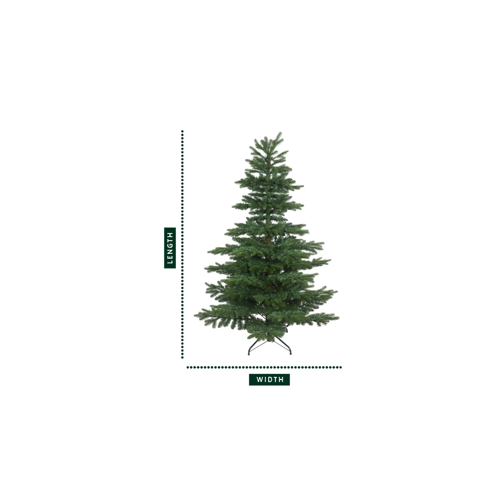 Full profile of the unlit noble fir christmas tree with a diagram indicating its length and width.