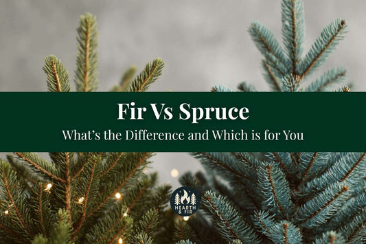 Close up of a green fir tree and a blue spruce tree with "Fir Vs Spruce" overlay text.