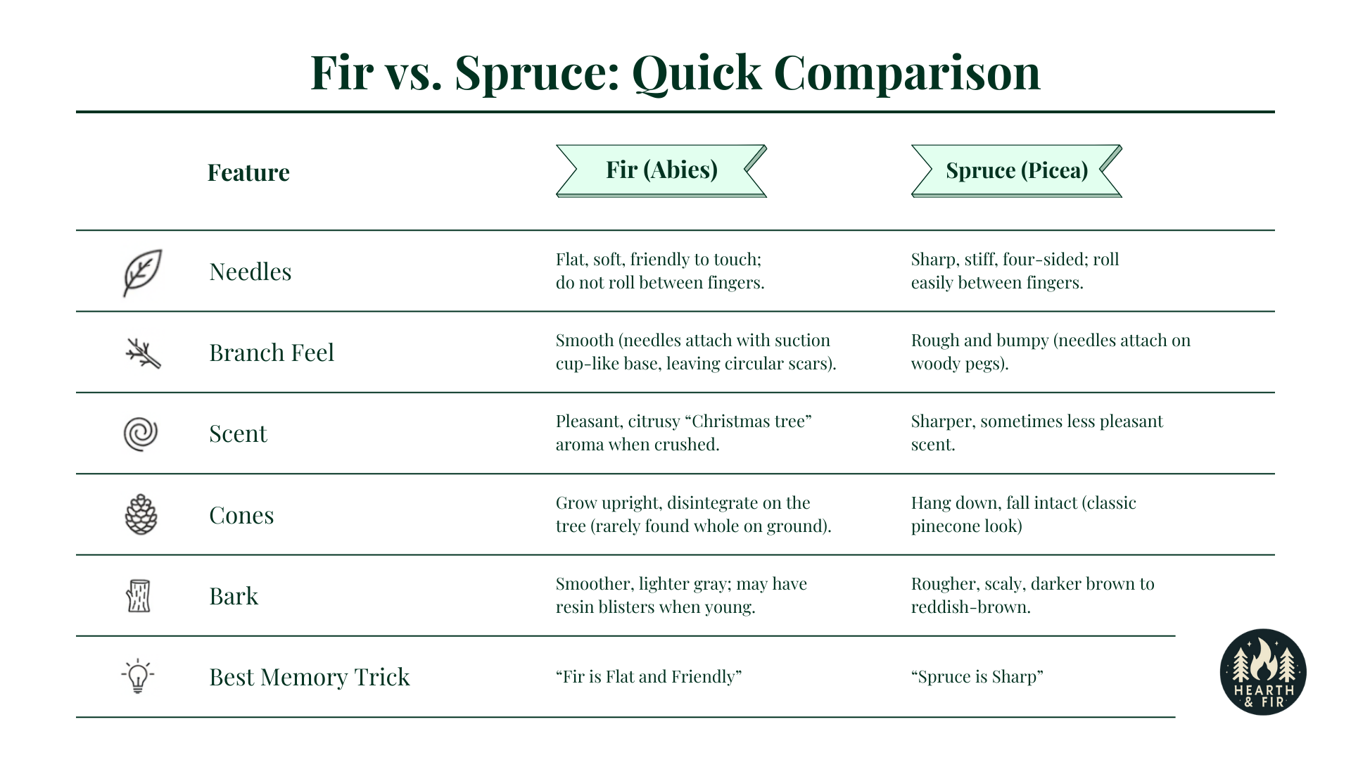Comparison chart for fir vs spruce trees, detailing differences in needles, branches, scent, cones, and bark.