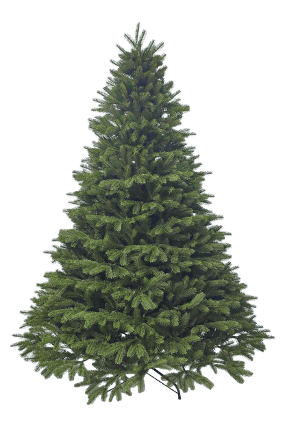 9 ft Classic Artificial Verdelle Fir Christmas Tree