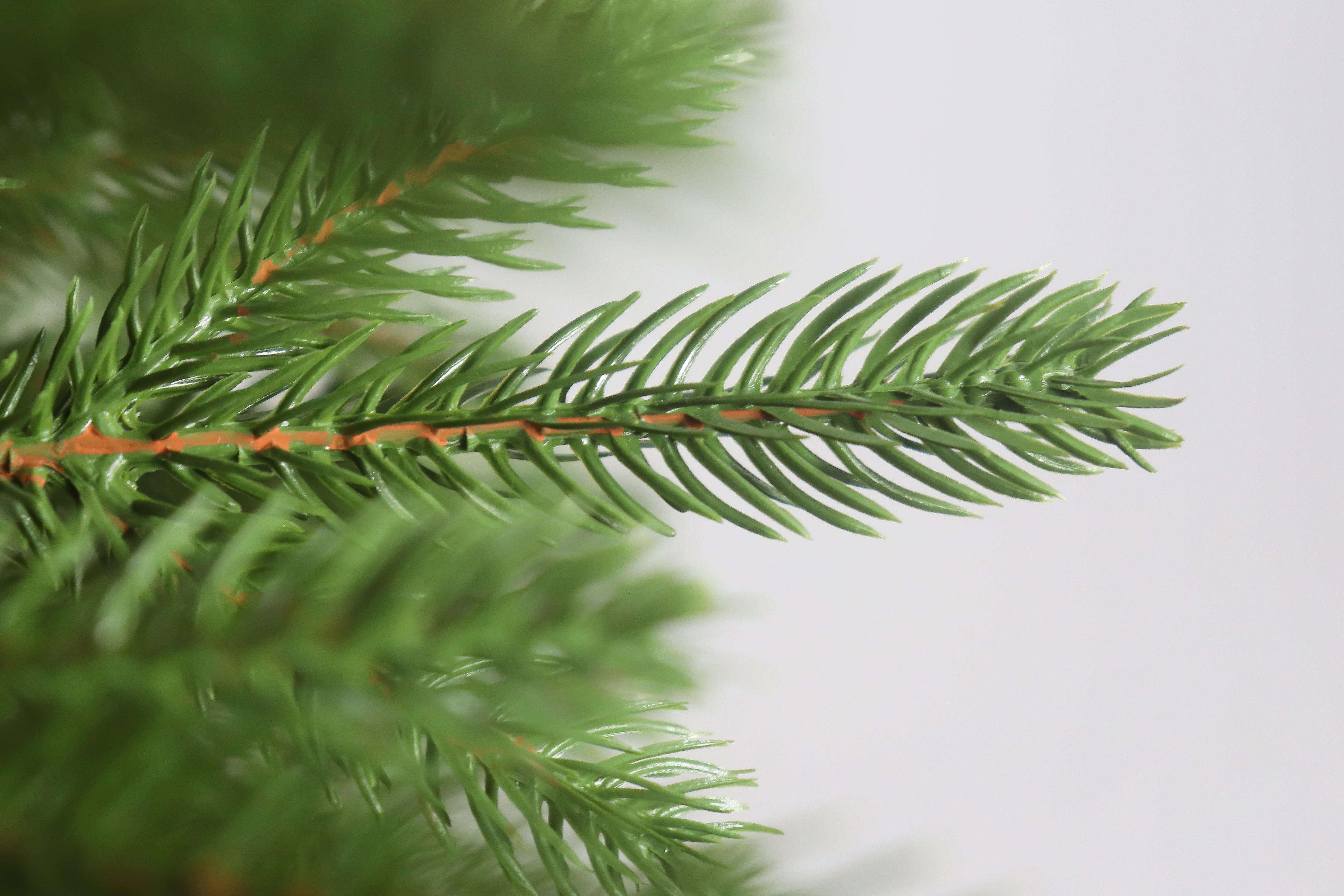 A macro shot of a single realistic PE branch tip from the Heartland Grand Slim Christmas Tree.