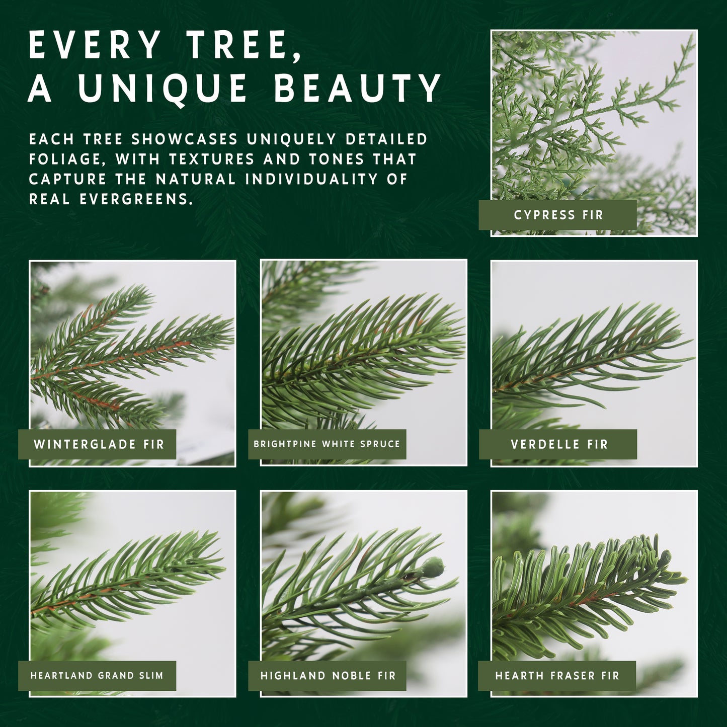 Comparison chart showing the realistic foliage of different Hearth & Fir tree types, including fir and spruce branches.