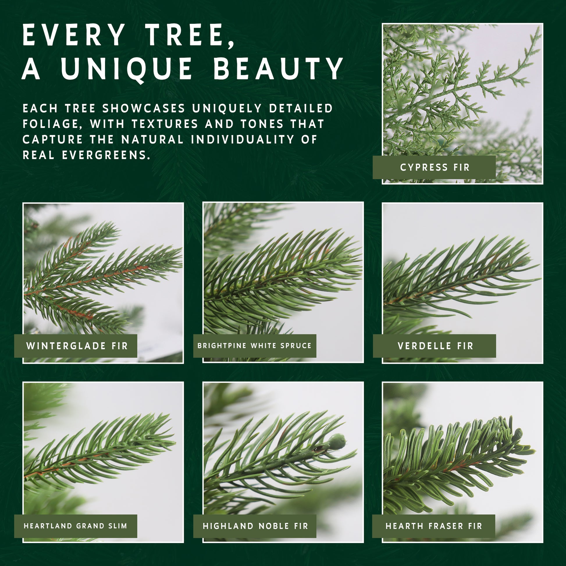 Comparison chart showing the realistic foliage of different Hearth & Fir tree types, including fir and spruce branches.