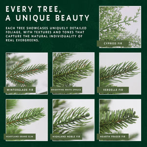 Comparison chart showing the realistic foliage of different Hearth & Fir tree types, including fir and spruce branches.