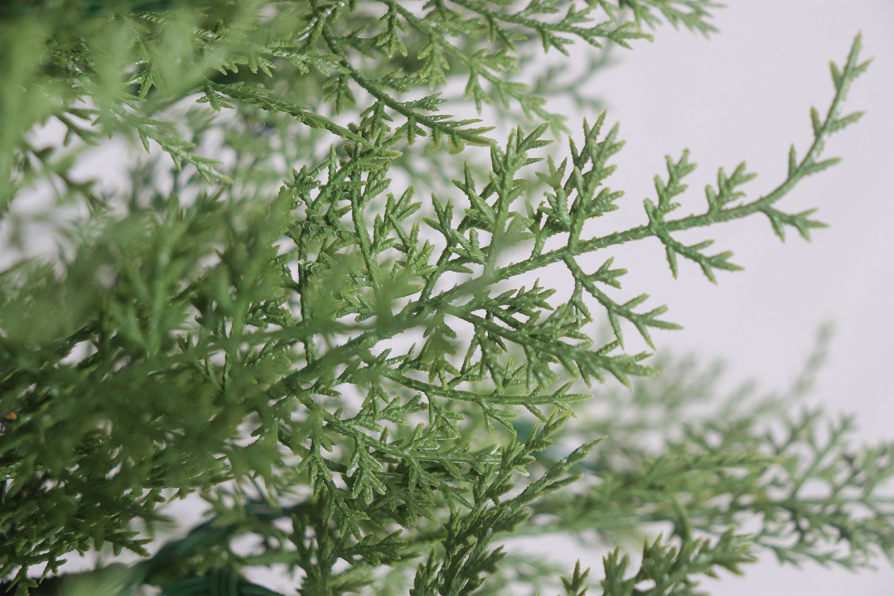 A close-up view of the lifelike foliage and branch variation on a realistic artificial tree.
