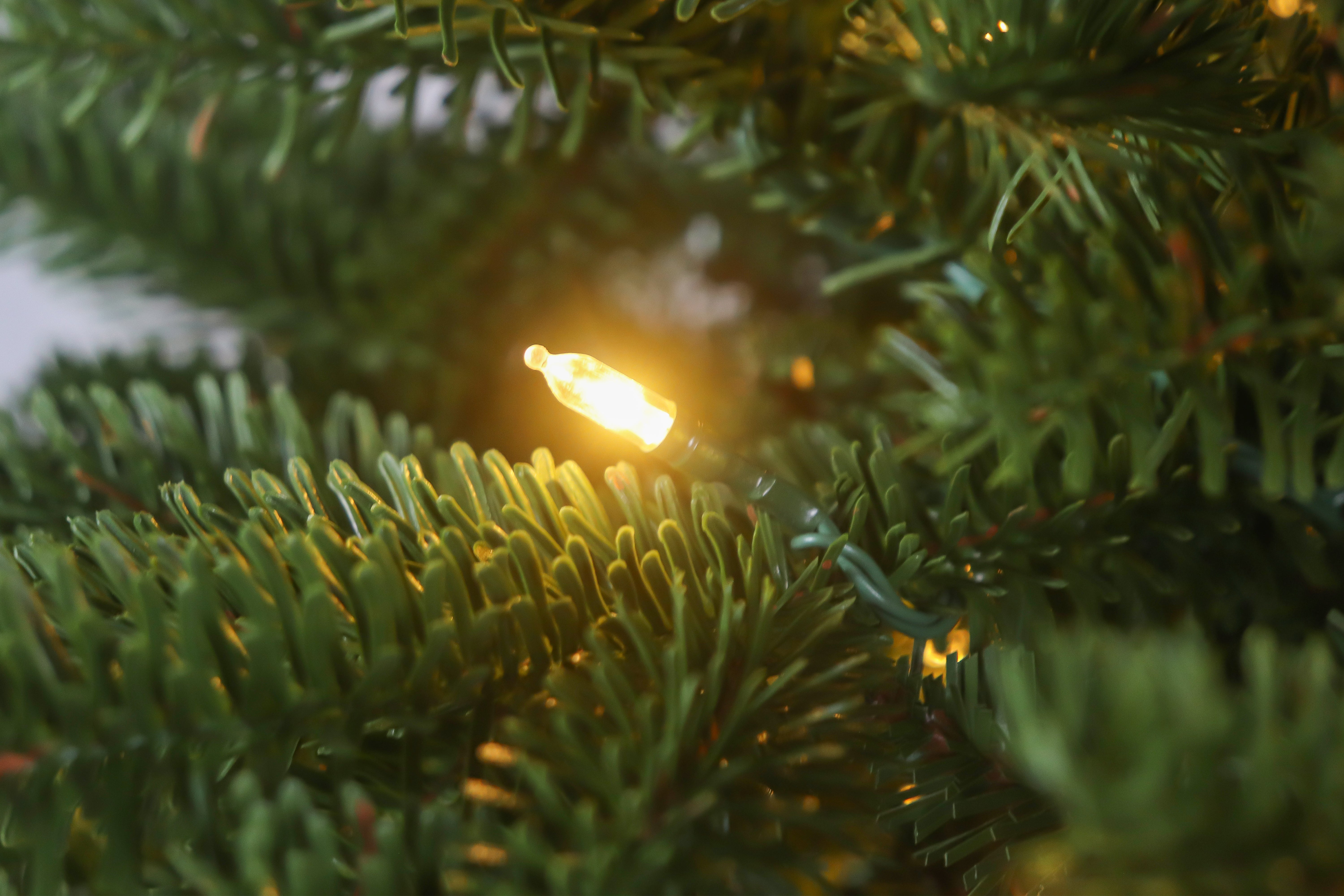 Close-up of a warm white light on the prelit traditional fraser fir christmas tree.