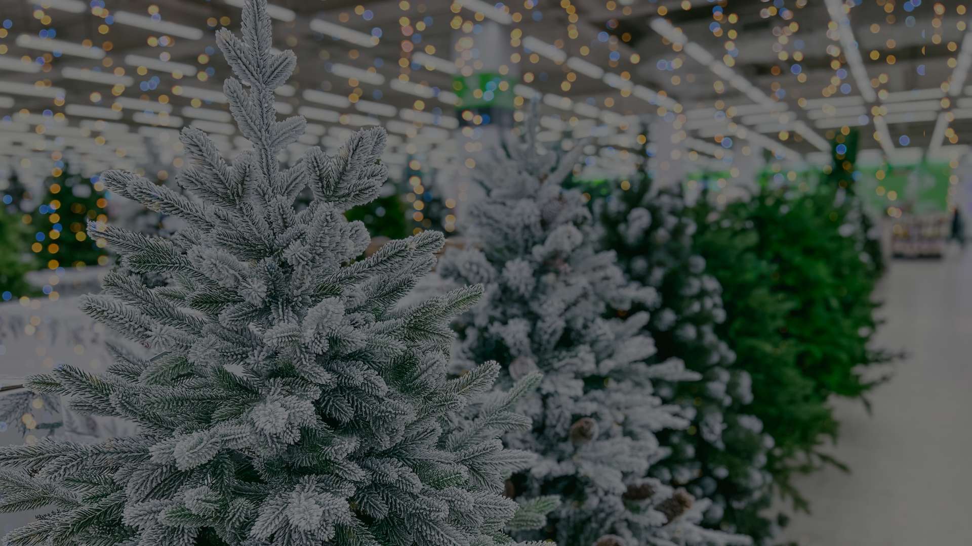 PVC Christmas Trees on a store