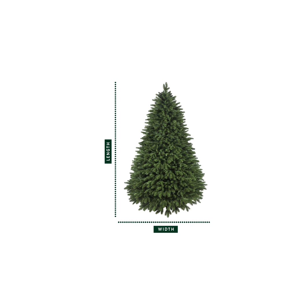 Full profile of the unlit traditional fraser fir christmas tree with a diagram showing its length and width.