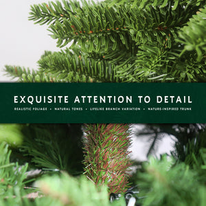 Close-up details of the traditional fraser fir christmas tree, showing its realistic foliage and nature-inspired trunk.