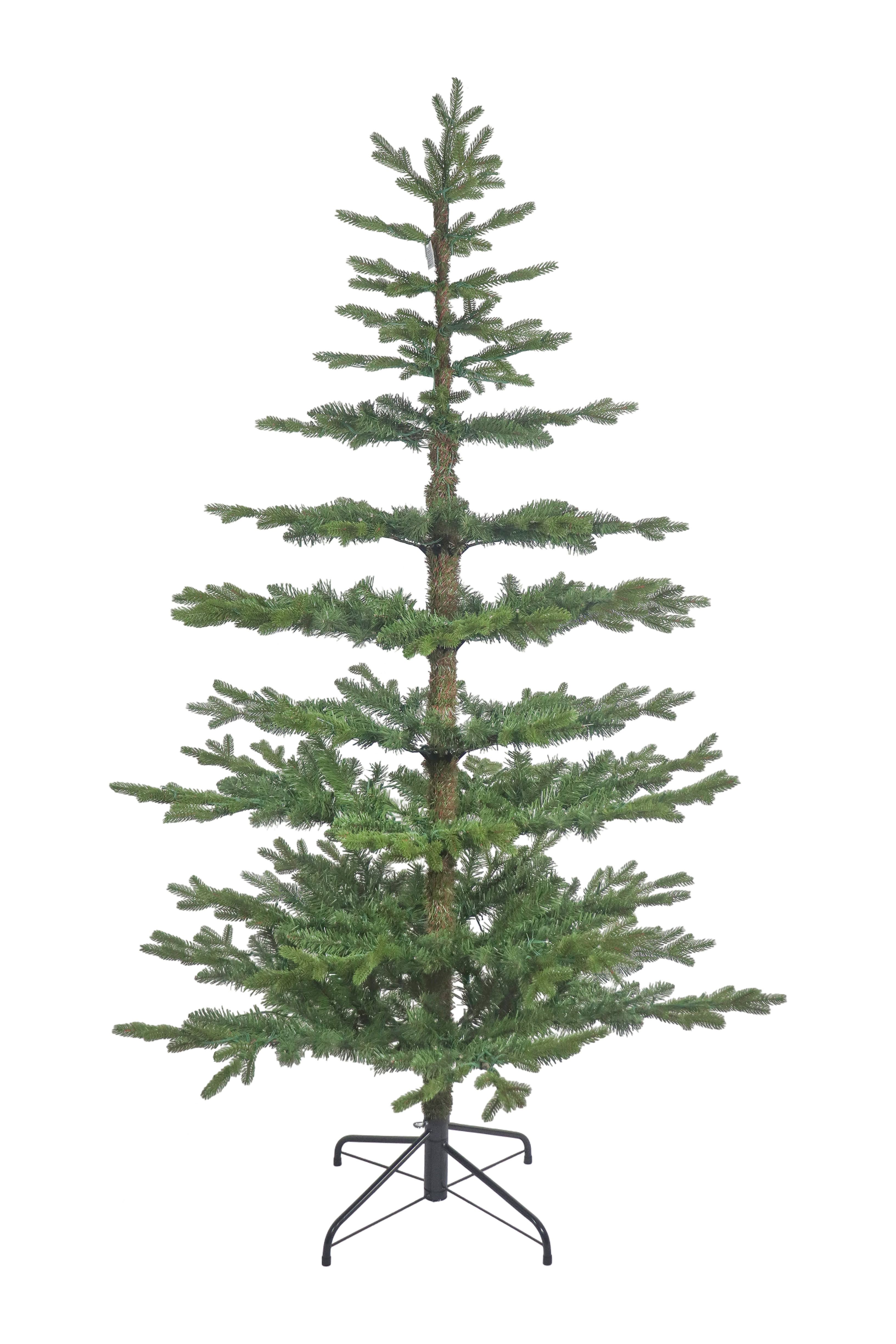 A tall, unlit skinny Christmas tree with sparse, layered branches, resembling a noble fir.