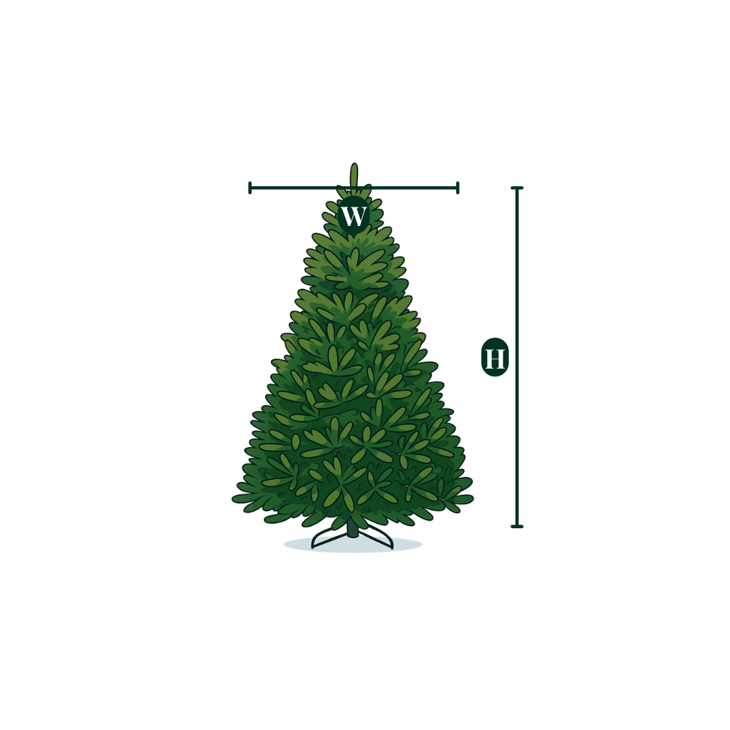 Graphic showing the height (H) and width (W) measurements for a white spruce unlit Christmas tree.